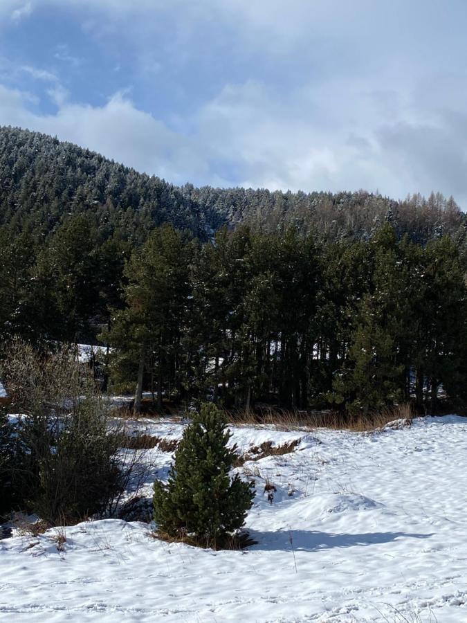 Chalet Au Pieds Des Pistes Le Cambre Aze Bolquere Pyrenees 2000 Exteriör bild